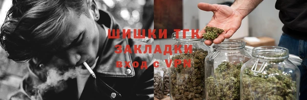 соль ск Алзамай