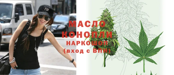 ешки Горняк