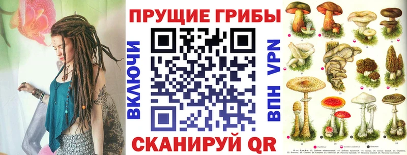 Псилоцибиновые грибы прущие грибы  Минусинск 